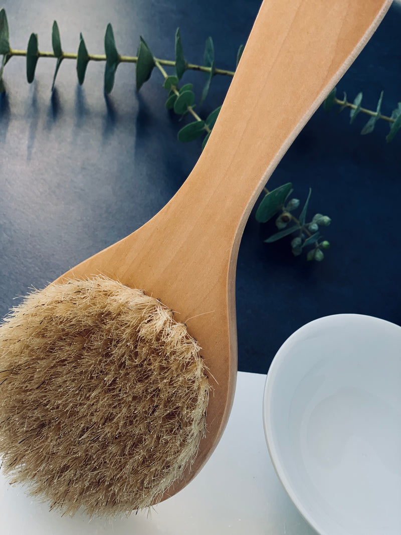 Dry Brush | Exfoliation Brush